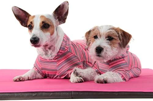         Pickorruchos Agasalho Cereja 00 Para Cães 00 Cinza E Rosa       